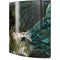 Woman with Peacocks by Nene Thomas Playstation 3 & PS3 Skin